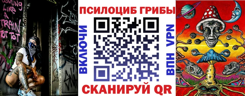 Галлюциногенные грибы GOLDEN TEACHER  Купить где  Медногорск 